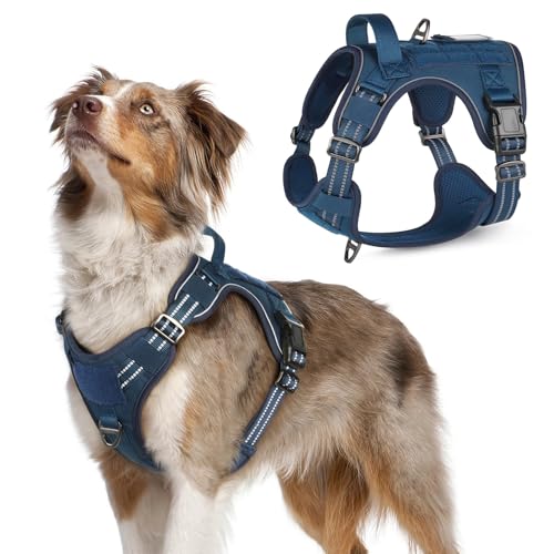 rabbitgoo Dog Harness No Pull, Military Dog Harness Medium Sized Dog with Handle & Molle, Easy Control Service Dog Vest Harness Training Walking, Adjustable Reflective Tactical Pet Harness, Blue, M