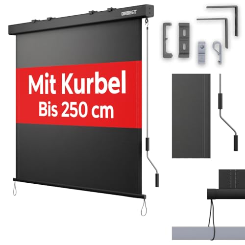 ONBEST Senkrechtmarkise außen & innen - ausziehbar in 2 Größen – 250 x 160 cm / 250 x 180 cm – Sichtschutz für Balkon & Terrasse – Handkurbel – Sonnenschutz, Windschutz (Anthrazit, 160 x 250cm)