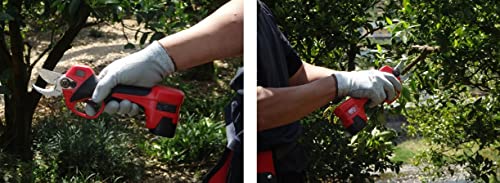 アルスコーポレーション(ARS) 剪定鋏 コードレス充電式 切断目安生木２５ｍｍ以下 ＥＰ－７２０ 6枚目