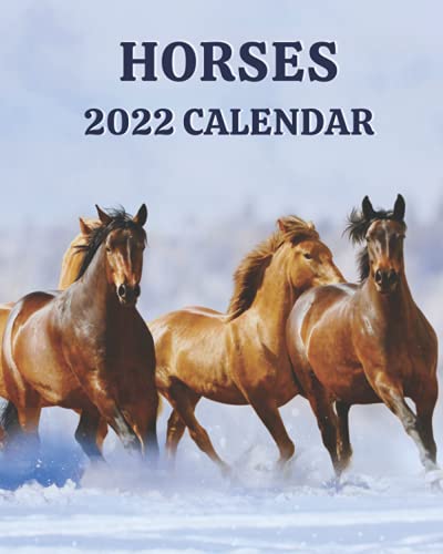 Horses Calendar 2022: Monthly Calendar with Pictures of Beautiful Horses
