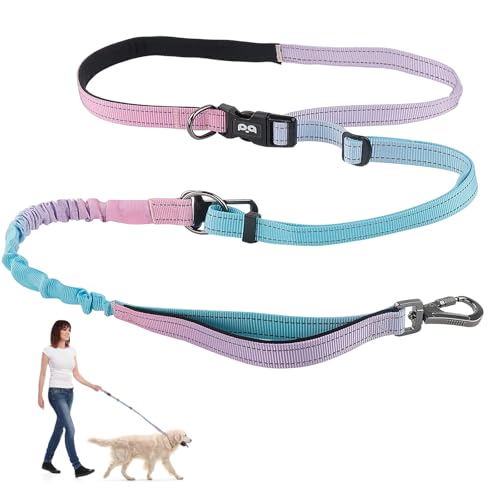 Joggingleine Hunde Freihändig Laufleine für Hunde Reflektierend Bauchgurt Hundeleine Dog Leash 145-225 cm Joggingleine mit Bauchgurt Ruckdämpfend für Jogging Laufleine für Große bis 50kg Joggingleine Hunde Freihändig Laufleine für Hunde Reflektierend Bauchgurt Hundeleine Dog Leash 145-225 cm Joggingleine mit Bauchgurt Ruckdämpfend für Jogging Laufleine für Große bis 50kg