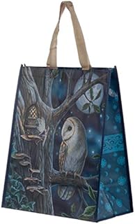 Fairy Tales Owl and Fairy Lisa Parker Reusable Shopping Bag-NWBAG63