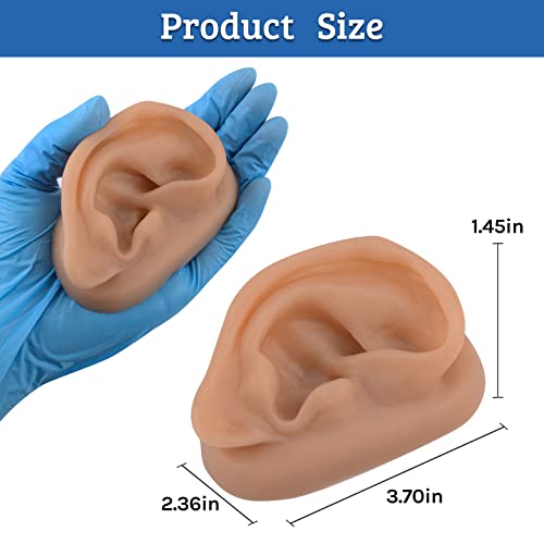 SimCoach Acupuncture Ear Model, Right Artificial Ear Replica for Auricular Therapy Teaching, Piercing Practice, Hearing Aids, Jewelry Display (Brown)