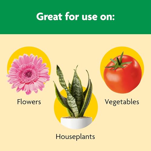Image of Miracle-Gro Shake 'N Feed Rose & Bloom Plant Food, 4.5 lb. (6-Pack)