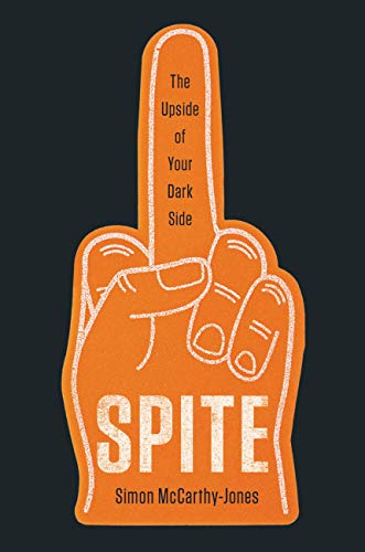 Spite view 2