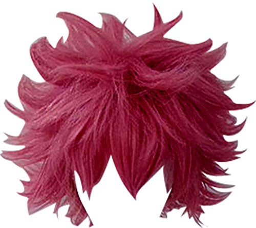 GSFDHDJS Purple Wing Cosplay Perruque for Fairy Tail Etherious Natsu Dragneel Cover