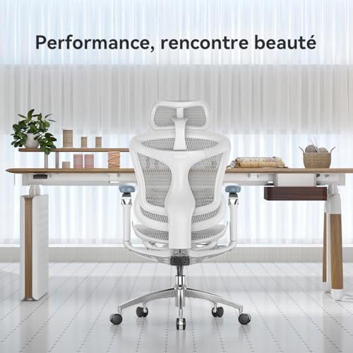 SIHOO Doro C300 Pro Chaise Bureau Ergonomique avec accoudoirs 6D Ultra Doux, Soutien Lombaire Dynamique et Ajustement de la Profondeur du siège pour Le Bureau à Domicile (Grigio), Expédiée en 2 Colis