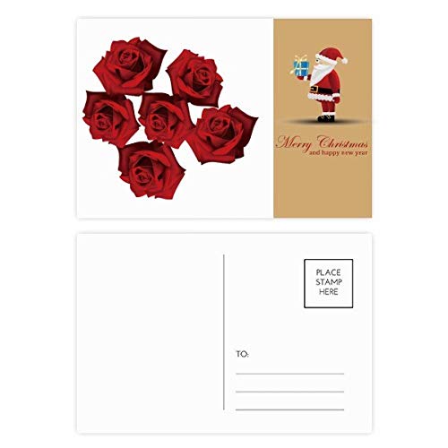 Cartes postales roses rouges lot de 20 illustration fleur jardin nature