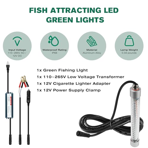 View 3
