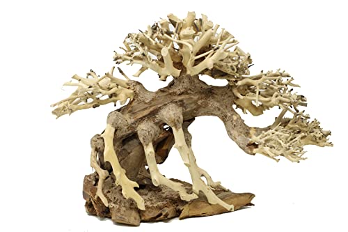 Bonsai driftwood Aquarium Tree AMX (8 Inch Height) Natural, Handcrafted Fish Tank Decoration | Easy to Install
