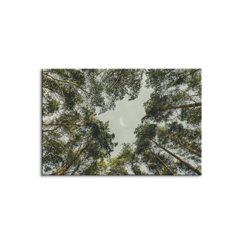 �A�C�̐X �A�[�g�p�l�� �A�[�g�|�X�^�[ ���̖� ���R���i ��/���X �Ǐ��� ������� �C���e���A ���� ���@�\ �����z ���� ���͋C�]�� �V�����j�� ���v���[���g �ؘg�t���̊����i (70x100cm�i28x40in�j,V1)