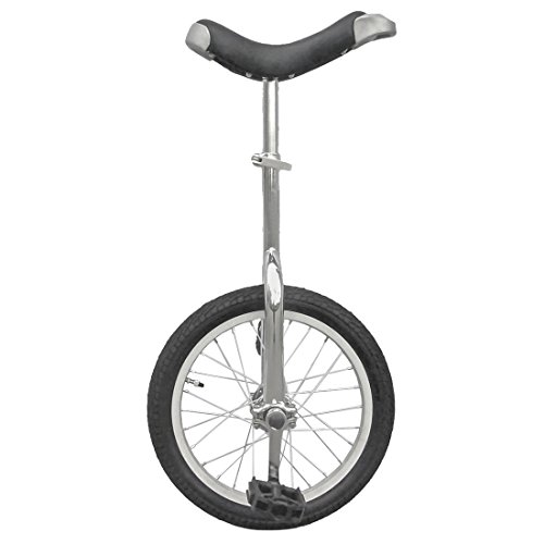 Best Review Of Fun 16 Inch Wheel Unicycle with Alloy Rim