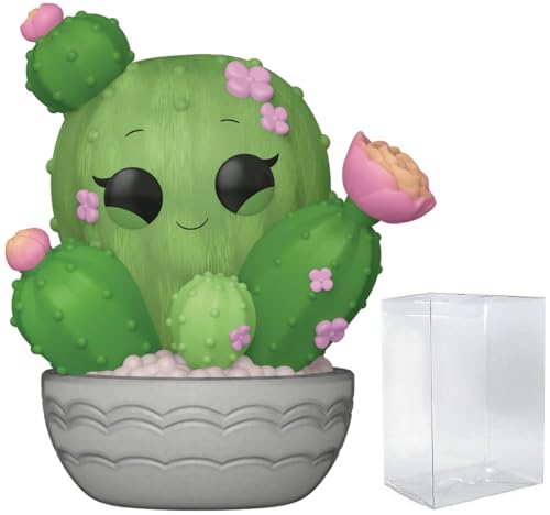POP Funko Kawaii Plants: Flora - Barrel Cactus Vinyl Figure (Bundled with Compatible Box Protector Case) Multicolor 3.75 Inches