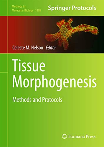 Tissue Morphogenesis view 2