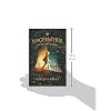 The Mage and the Magpie Paperback June 11, 2015