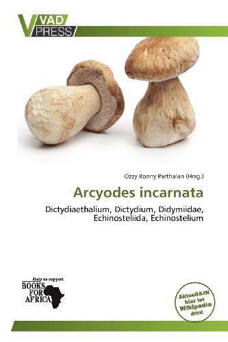 Arcyodes incarnata: Dictydiaethalium, Dictydium, Didymiidae, Echinosteliida, Echinostelium