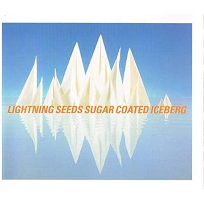 Sugar Coated Iceberg