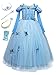 YOSICIL Costume Reine des Neiges Princesse Elsa Robe de Princesse Manche Longue Déguisement Tulle Brillant avec Papillon Tenue de Soirée Halloween Noël Carnaval Cadeau