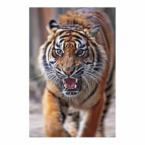 Peinture sur toile tigre grand format poster mural salon 70x100