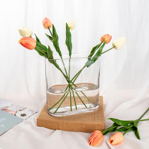 Oairse Clear Glass Vase 18CM Modern Oblong Centerpiece for Flowers - Decorative for Living Room, Dining Table, Wedding, Home and Party - Cosy Home Interiors Oairse Clear Glass Vase 18CM Modern Oblong Centerpiece for Flowers - Decorative for Living Room, Dining Table, Wedding, Home and Party - Image 4