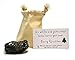 Santa's Scientific Christmas Coal, Premium Cotton Bag and 1 Large Lump (2.5" x 2" x 1.5" approx. - Egg or Golf Ball Sized) - Genuine American Coal - Includes Experiment
