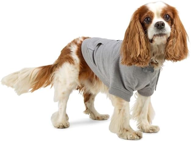 Reddy by Petco Ride or Die Dog Hoodie Small