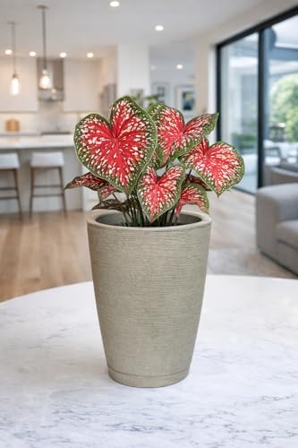 Vaso Polieitleno Decorativo Redondo P/plantas Jardim Varanda (Cinza)