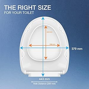 Kohler Oval-Shaped Thin Toilet Seat, Quiet Close, Slim Seat, White (30770IN-0)
