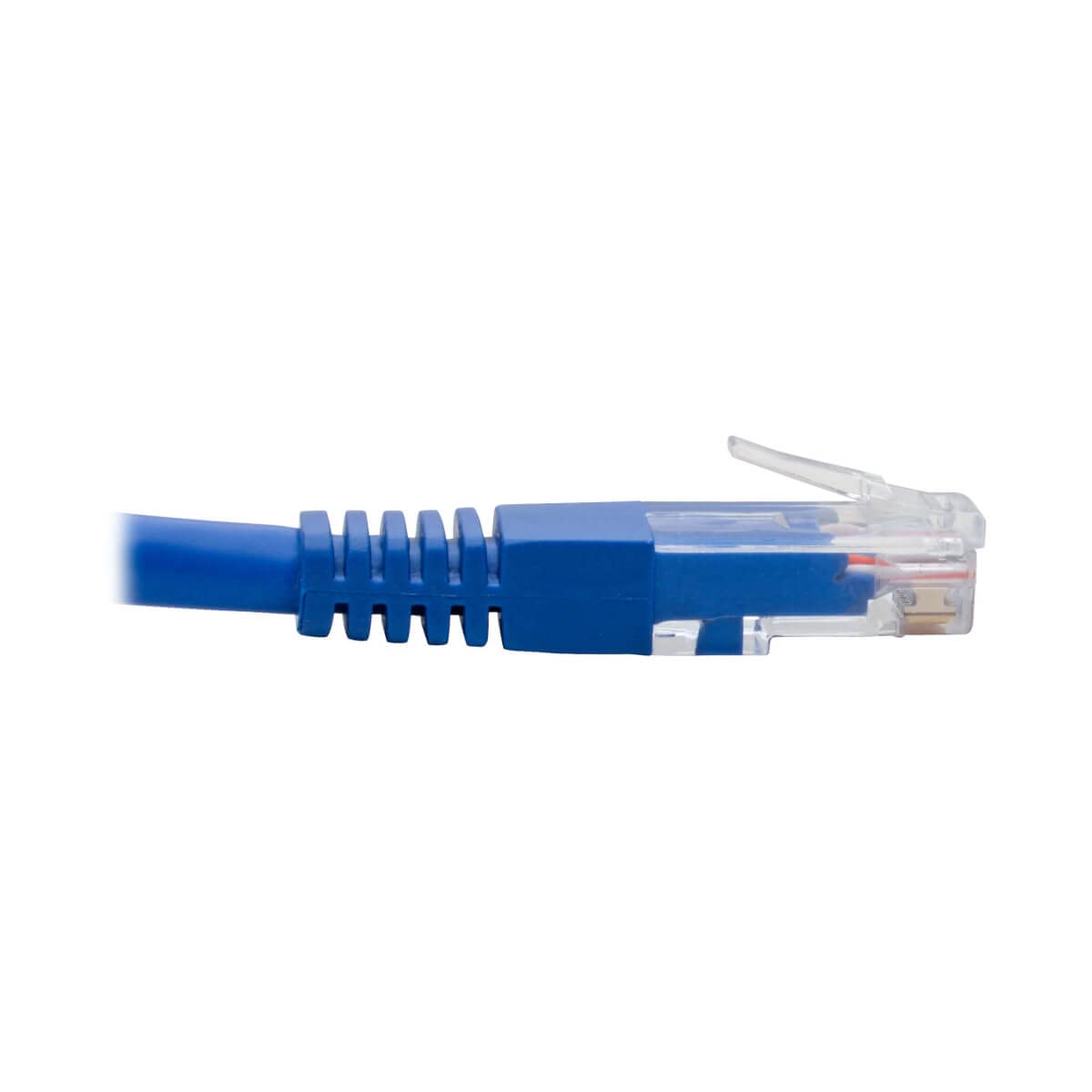ネット　５，９ｍ×５，４ｍ Amazon.com: Tripp Lite Right-Angle Cat6 UTP Patch Cable
