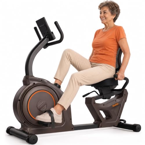Niceday Bicicleta Estática Reclinada con Respaldo para Mayores, Magnética con 16 Niveles, Ultrasilenciosa, Pantalla LCD con Pulso, Bajo Impacto Ideal para Rehabilitación