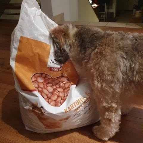 DOGS-HEART Geflügel & Kartoffel 15 kg Getreidefreies Hundefutter mit hohem Fleischanteil, Glutenfrei - ohne Zusatz von Zucker, Mais oder Weizen