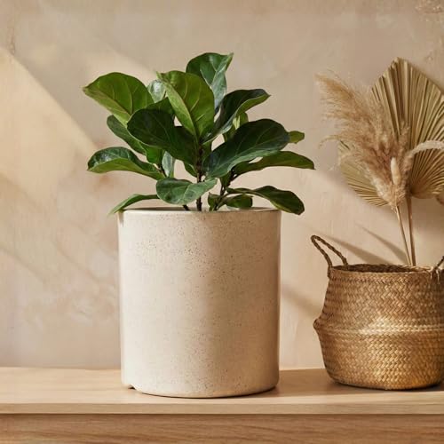 Image of Eha Earth Friendly Gallery Big Planters for Home Decor | 12 inch, Pack of 1 | Heavy Duty Plant Pot Made with Rice Husk & Bamboo Biocomposite | UV Protected Pot for Plant | Pots & Planters Big Size