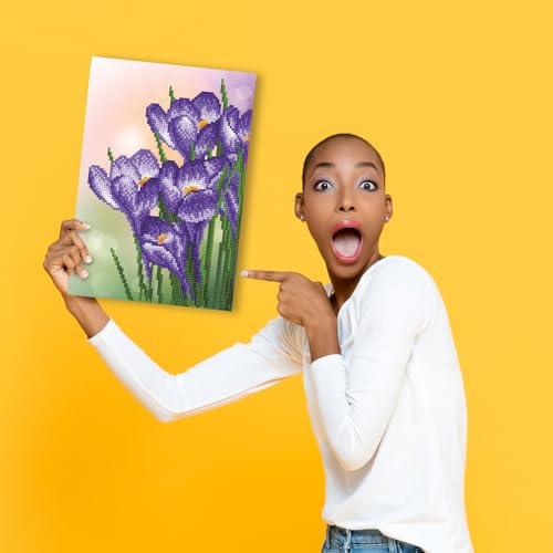 Dj E Iluminación, Office Product Imagen adicional