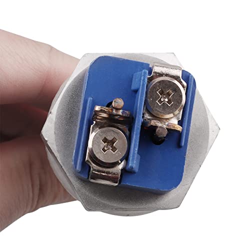 AIICIOO Heizelement 240v 1000w 1 Zoll BSP (DN25) Durchmesser 33.2mm Edelstahl mit Silikon-O-Ring