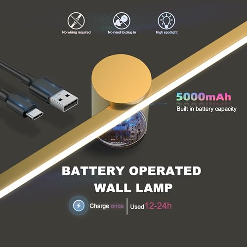 ZitoStory Battery Operated Picture Light for Wall with Remote,Wireless Dimmable Art Lights for Paintings Rechargeable Gallery Light Artwork Lighting for Canvas, Portrait (Gold,20\'\' Inch)