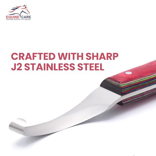 Image of Equine Care Farrier Hoof Knife, Right-Handed, Brass Cap for Horse Shoeing | Right-handed farrier hoof knife with J2 stainless steel blade, notched brass shoe topper, layered handle and flat thumb rest