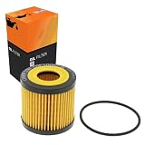 Oil Filter Ecological | Champion (COF100527E) | Filter, Lubrication