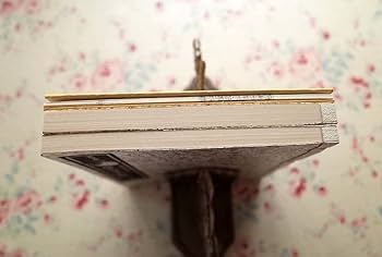 Amazon.co.jp: 41762/多留保判 男色大鑑 二重箱入り 全2巻 稲垣