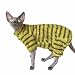 Sphynx Cat Clothes Four Leg Fleece Pajamas Super Soft Elastic Pet Clothes for Hairless Cat Surgery Recovery Suit Cat for Sphynx Devon Cornish (Green Black Stripe, X-Large)