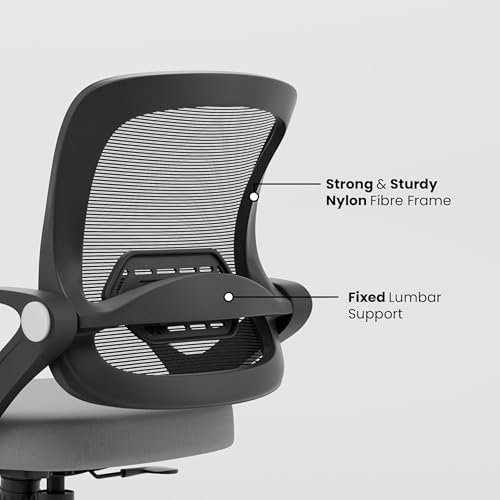 Image of Align Cherry Orthopedic Ergonomic Office Mesh Chair with Lumbar Support, Comfortable Cushioned Seat, Adjustable Height, Revolving Design, Tilt Lock, Heavy Duty Metal Base, 3 Years Warranty (Grey)