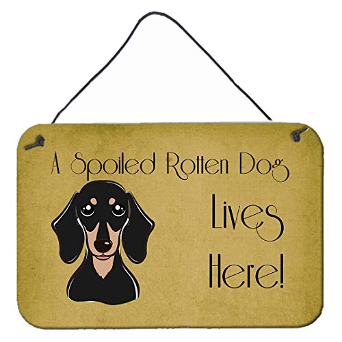 Caroline's Treasures BB1463DS812 Smooth Black and Tan Dachshund Spoiled Dog Lives Here Wall or Door Hanging Prints Aluminum Metal Sign Kitchen Wall Bar Bathroom Plaque Home Decor, 8x12, Multicolor