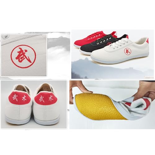 Kung fu Shoes Taekwondo Shoes Unisex Martial Arts Shoes Boxing Karate Tai chi Training Shoes Canvas Non Slip(Size:44EU,Color:B)3