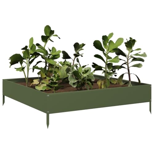 Jardinera elevada para evitar encharcamientos y cultivar hierbas sanas 3