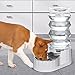 RIZZARI Large Gravity Water Dispenser: 8L Automatic Stainless Steel Dog Water Feeder with Specialized Brush and Triple Filter for Senior Pets with Spinal Problems - for Kitchen Living Room