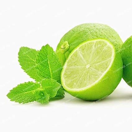 7: Semillas de limonero Alta tasa de supervivencia Semillas de frutas Balcón Planta de bonsái para jardín de su casa 20 Piezas/paquete