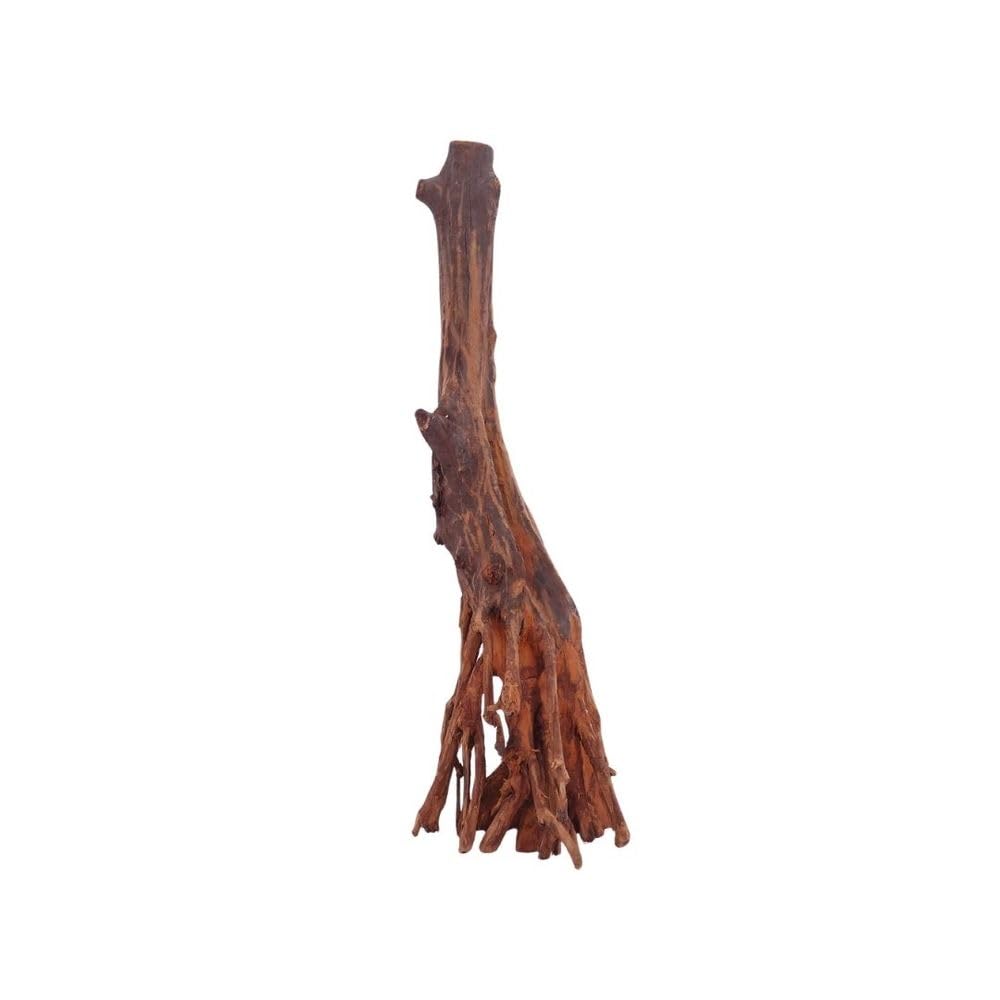 AquaOne Aquarium Wurzel M Jungle Wood Nr.4440 Aquarium Wurzel Holz Deko Aquascaping Dekoration Landschaft Moos Natur Echtholz