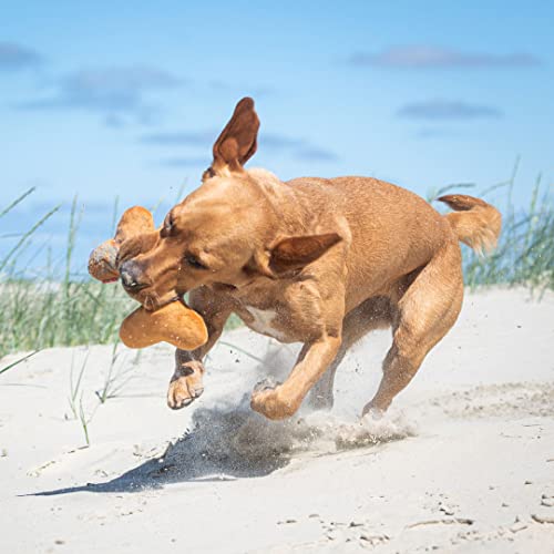 Minifeet Knister-Knochen - Das knochenstarke Hundespielzeug für jeden Anlass. Für Welpen und ausgewachsene Hunde