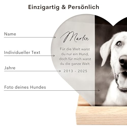 DEL MÀ Unique & Personal Andenken an verstorbenen Hund Bild Gedenktafel aus Acrylglas zur Erinnerung & Trauer personalisiert Glasherz mit Foto Geschenk für Hundebesitzer inkl. Holzfuß 20x22 cm (Herz)