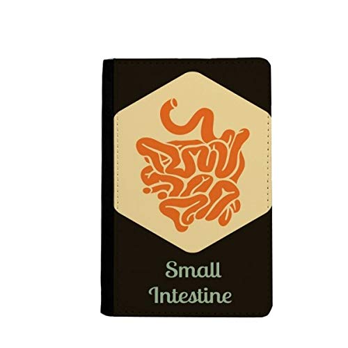 Portefeuille passeport Body Organs et étui pour cartes de crédit et voyage