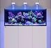PopBloom RL90 300 Watts Smart-APP Control LED Reef Aquarium Light for 60inch 150CM 6ft Saltwater Aquarium Coral Reef Marine Fish Tank LPS/SPS